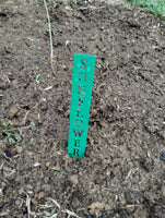 Metal Garden Marker Stakes – Custom Vegetable Labels