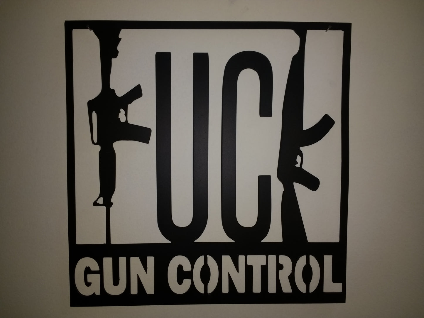 *UC* Gun Control